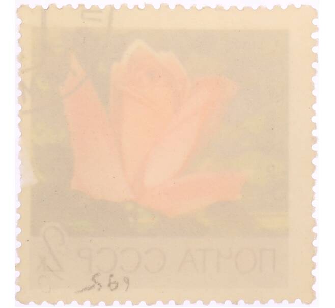 Почтовая марка 2 копейки 1969 года «Московский ботанический сад — Роза (Clear Glade)» (Артикул: K8-0445) — Фото №2