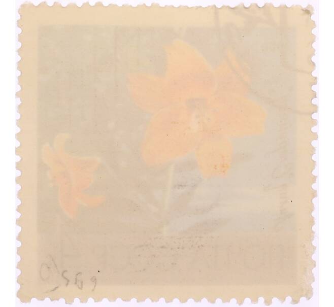 Почтовая марка 4 копейки 1969 года «Московский ботанический сад — Лилия (Slender)» (Артикул: K8-0446) — Фото №2