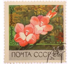 Почтовая марка 14 копеек  1969 года «Московский ботанический сад — Гладиолус (Ural Girl)» — Фото №1