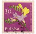 Почтовая марка 30 грошей 1964 года Польша «Садовые растения — Фрезия (Freesia hybrida)» (Артикул: K8-0454) — Фото №1
