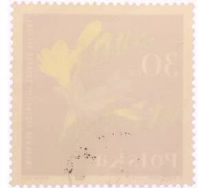 Почтовая марка 30 грошей 1964 года Польша «Садовые растения — Фрезия (Freesia hybrida)» — Фото №2