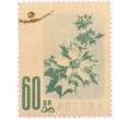 Почтовая марка 60 грошей 1957 года Польша «Охраняемые цветы — Синеголовник приморский (Eryngium maritimum)» (Артикул: K8-0456) — Фото №1