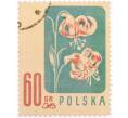 Почтовая марка 60 грошей 1957 года Польша «Охраняемые цветы — Мартагоны (Lilium martagon)» (Артикул: K8-0457) — Фото №1