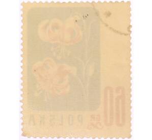 Почтовая марка 60 грошей 1957 года Польша «Охраняемые цветы — Мартагоны (Lilium martagon)» — Фото №2