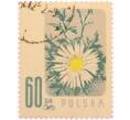 Почтовая марка 60 грошей 1957 года Польша «Охраняемые цветы — Колючник бесстебельный (Carlina acaulis)» (Артикул: K8-0458) — Фото №1