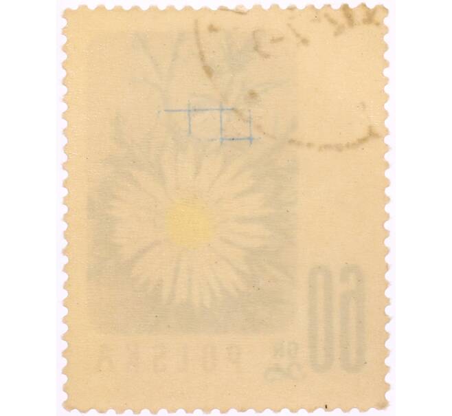 Почтовая марка 60 грошей 1957 года Польша «Охраняемые цветы — Колючник бесстебельный (Carlina acaulis)» (Артикул: K8-0458) — Фото №2