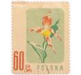Почтовая марка 60 грошей 1957 года Польша «Охраняемые цветы — Башмачок настоящий (Cypripedium calceolus)» (Артикул: K8-0459) — Фото №1