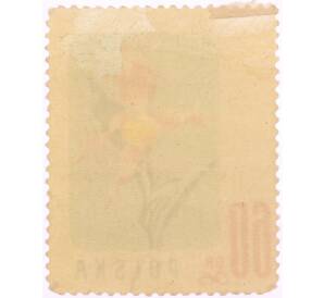 Почтовая марка 60 грошей 1957 года Польша «Охраняемые цветы — Башмачок настоящий (Cypripedium calceolus)» — Фото №2