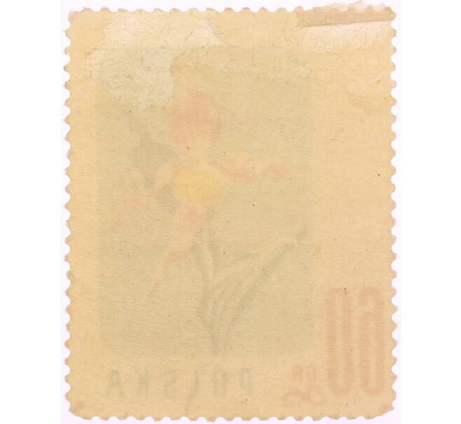 Почтовая марка 60 грошей 1957 года Польша «Охраняемые цветы — Башмачок настоящий (Cypripedium calceolus)» (Артикул: K8-0459) — Фото №2