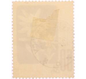 Почтовая марка 60 грошей 1957 года Польша «Охраняемые цветы — Эдельвейс альпийский (Leontopodium alpinum)» — Фото №2