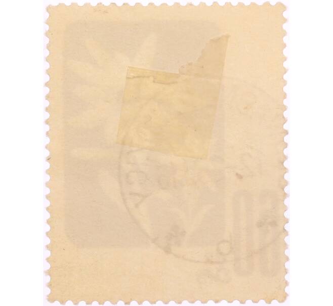 Почтовая марка 60 грошей 1957 года Польша «Охраняемые цветы — Эдельвейс альпийский (Leontopodium alpinum)» (Артикул: K8-0460) — Фото №2