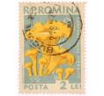 Почтовая марка 2 лей 1958 года Румыния «Грибы — Лисичка обыкновенная(Cantharellus cibarius)» (Артикул: K8-0462) — Фото №1