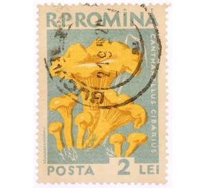 Почтовая марка 2 лей 1958 года Румыния «Грибы — Лисичка обыкновенная(Cantharellus cibarius)» — Фото №1