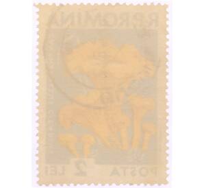 Почтовая марка 2 лей 1958 года Румыния «Грибы — Лисичка обыкновенная(Cantharellus cibarius)» — Фото №2