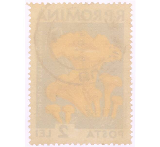 Почтовая марка 2 лей 1958 года Румыния «Грибы — Лисичка обыкновенная(Cantharellus cibarius)» (Артикул: K8-0462) — Фото №2