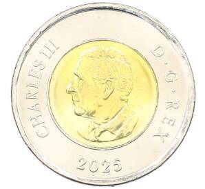 2 доллара 2025 года Канада «Народная певица Дафна Оджиг» (Цветное покрытие) — Фото №2