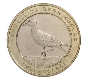 1 куруш 2019 года Турция — Авдотка (кольцо -латунь, центр — Cu-Ni) — Фото №1