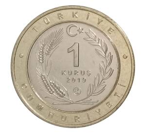 1 куруш 2019 года Турция — Авдотка (кольцо -латунь, центр — Cu-Ni) — Фото №2