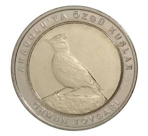 1 куруш 2019 года Турция — Лесной жаворонок (кольцо — Cu-Ni, центр — латунь) — Фото №1