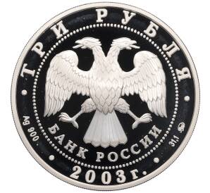 3 рубля 2003 года ММД «Лунный календарь — Год Козы» — Фото №2