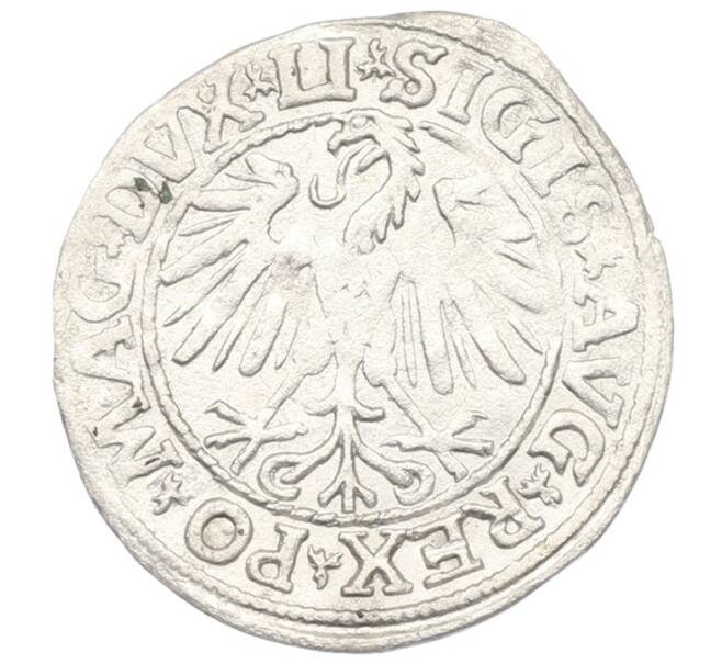 Монета 1/2 гроша 1547 года Литва (Артикул: K7-0002) — Фото №2