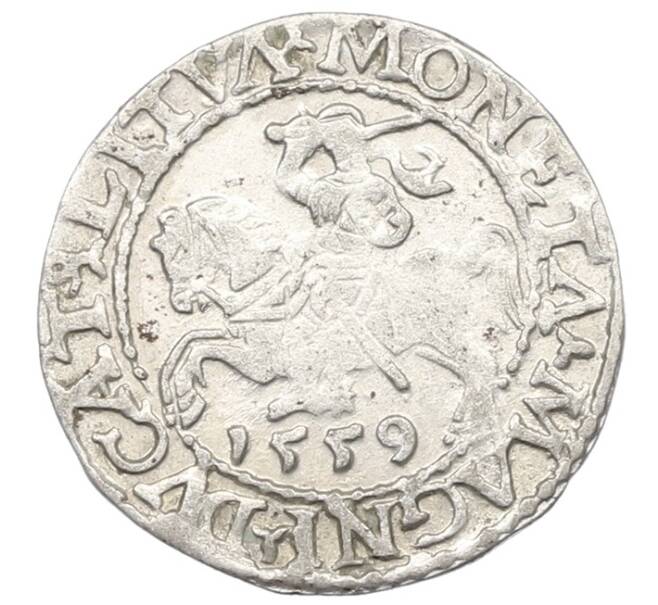 Монета 1/2 гроша 1559 года Литва (Артикул: K7-0005) — Фото №1