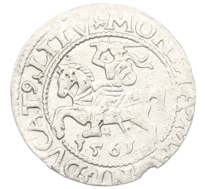 Монета 1/2 гроша 1563 года Литва (Артикул: K7-0006) — Фото №1