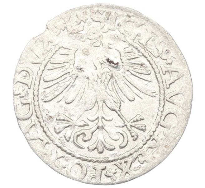Монета 1/2 гроша 1563 года Литва (Артикул: K7-0006) — Фото №2