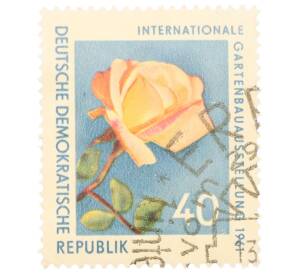 Почтовая марка 40 пфеннигов 1961 года Восточная Германия (ГДР) «Международная садоводческая выставка — Драгоценная роза (Rosa spec)»