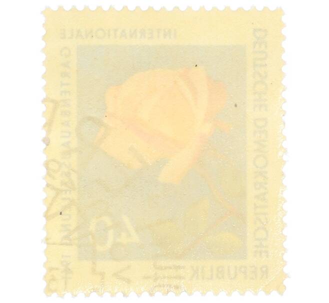 Почтовая марка 40 пфеннигов 1961 года Восточная Германия (ГДР) «Международная садоводческая выставка — Драгоценная роза (Rosa spec)» (Артикул: P2-0909) — Фото №2