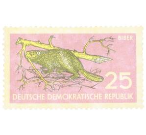 Почтовая марка 25 пфеннигов 1959 года Восточная Германия (ГДР) «Защита природы — Евразийский бобр (Castor fiber)»