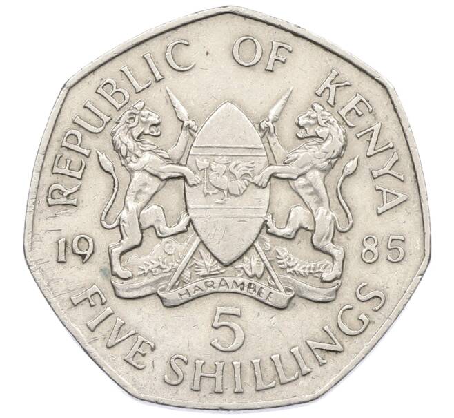 Монета 5 шиллингов 1985 года Кения (Артикул: K12-74574) — Фото №1