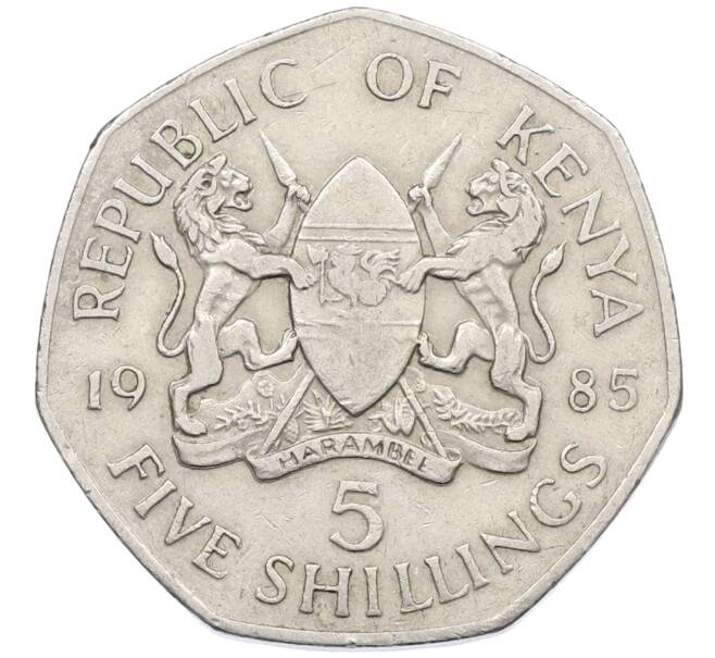 Монета 5 шиллингов 1985 года Кения (Артикул: K12-74576) — Фото №1