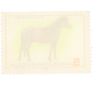 Почтовая марка 5 стотинок 1980 года Болгария «Флора и Фауна — Конь Тарпан» — Фото №2