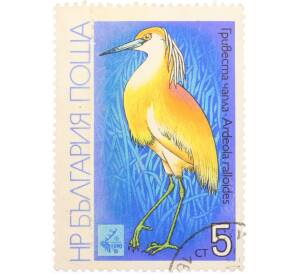 Почтовая марка 5 стотинок 1981 года «ЭКСПО 81 — Желтая Цапля»