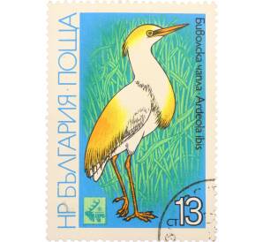 Почтовая марка 13 стотинок 1981 года «ЭКСПО 81 — Египетская Цапля» — Фото №1
