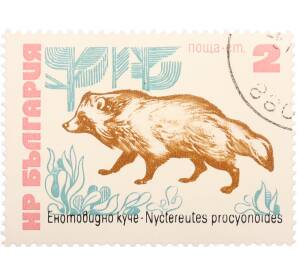 Почтовая марка 2 стотинки 1973 года «Фауна — Енотовидная собака»