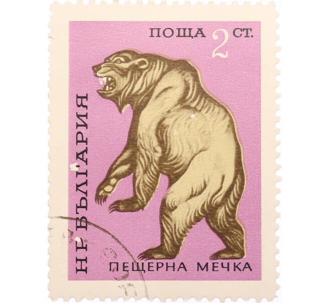 Почтовая марка 2 стотинки 1971 года Болгария «Пещерный медведь» (Артикул: K12-74594) — Фото №1