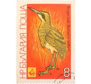 Почтовая марка 8 стотинок 1981 года «ЭКСПО 81 — Большая Выпь»