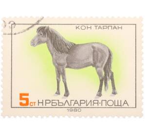 Почтовая марка 5 стотинок 1980 года Болгария «Флора и Фауна — Конь Тарпан»