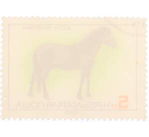 Почтовая марка 5 стотинок 1980 года Болгария «Флора и Фауна — Конь Тарпан»
