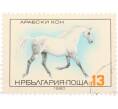 Почтовая марка 13 стотинок 1980 года Болгария «Флора и Фауна — Арабский конь» (Артикул: K12-74601) — Фото №1