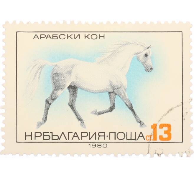 Почтовая марка 13 стотинок 1980 года Болгария «Флора и Фауна — Арабский конь» (Артикул: K12-74601) — Фото №1
