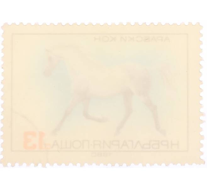 Почтовая марка 13 стотинок 1980 года Болгария «Флора и Фауна — Арабский конь» (Артикул: K12-74601) — Фото №2