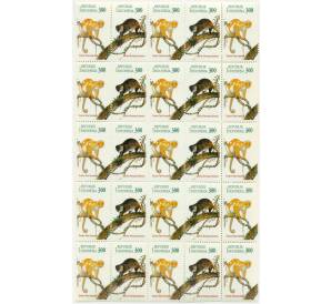 Сцепка из 25 марок 300 рупий 1996 года Индонезия «Кускусы» — Фото №1