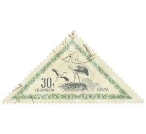 Почтовая марка 30 филлеров 1952 года Венгрия «Белый аист (Ciconia ciconia)» — Фото №1