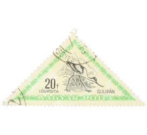 Почтовая марка 20 филлеров 1952 года Венгрия «Шилоклювка (Recurvirostra avosetta)» — Фото №1