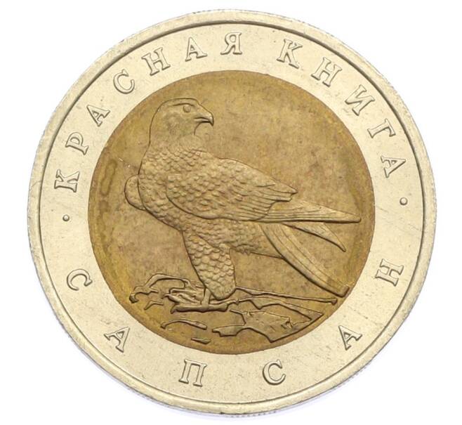 Монета 50 рублей 1994 года ЛМД «Красная книга — Сапсан» (Артикул: T11-31992) — Фото №1