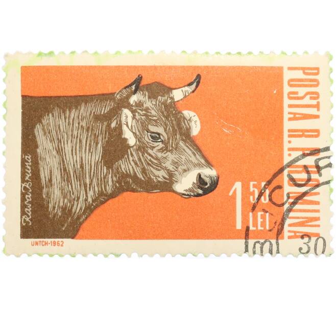 Почтовая марка 1.55 лей 1962 года Румыния «Сельскохозяйственные животные — Тур (Bos primigenius taurus)» (Артикул: K12-74808) — Фото №1