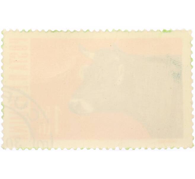 Почтовая марка 1.55 лей 1962 года Румыния «Сельскохозяйственные животные — Тур (Bos primigenius taurus)» (Артикул: K12-74808) — Фото №2